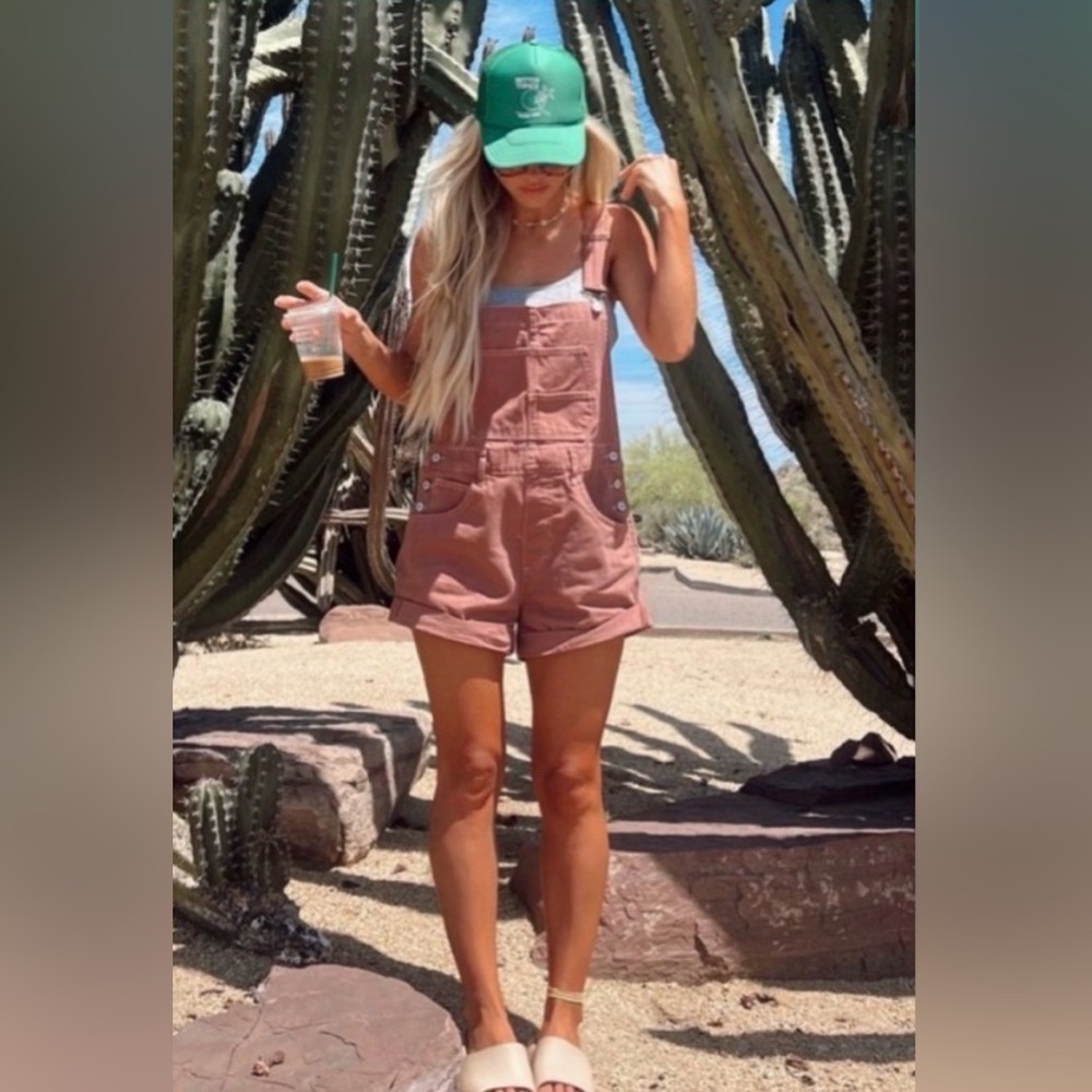 Free People We the Free Ziggy Denim Shortalls. Rose